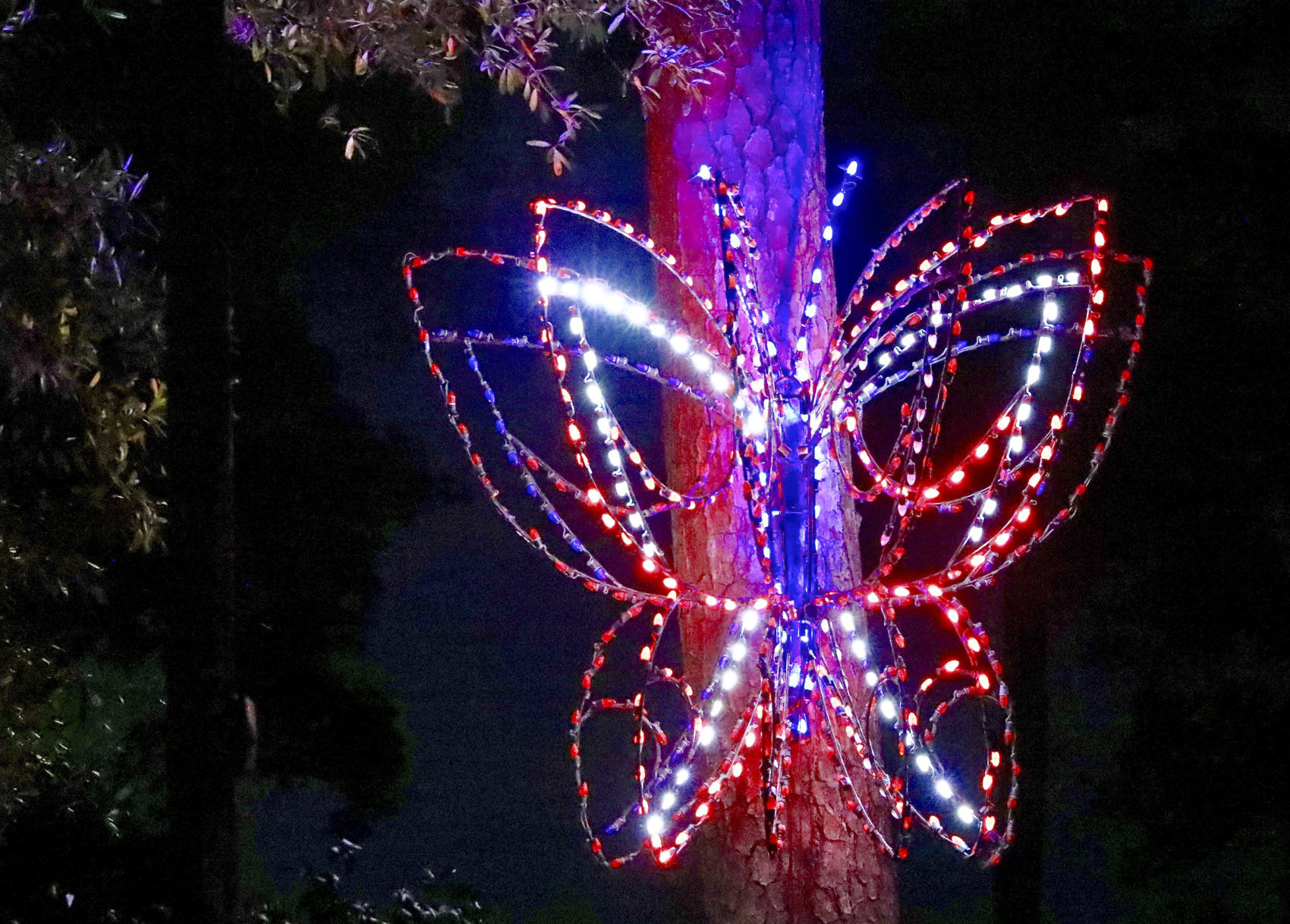 Orangeburg Christmas Lights